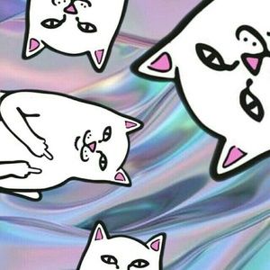 Meet your Posher, Sherry